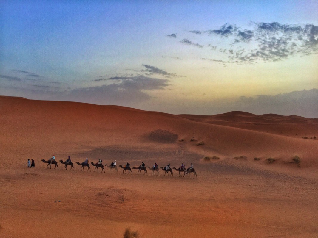 Bild: 2017-07/fullsizerender-6.jpg