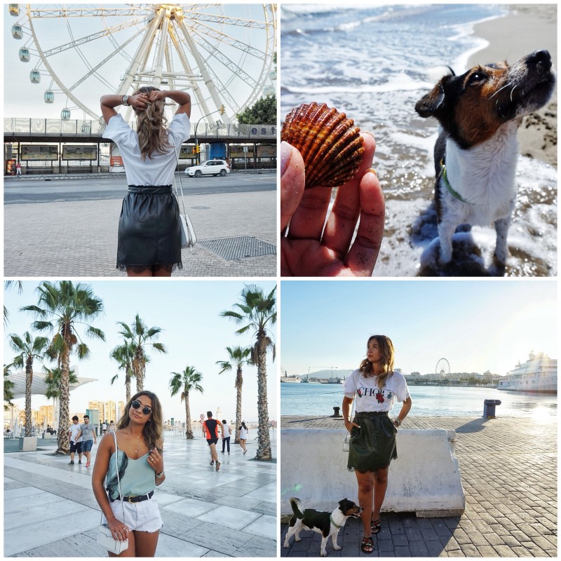 Bild: 2017-09/m-laga-andalucia.jpg